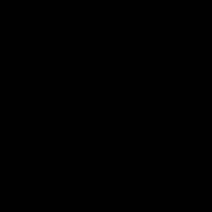 Meet your Posher, Raphael